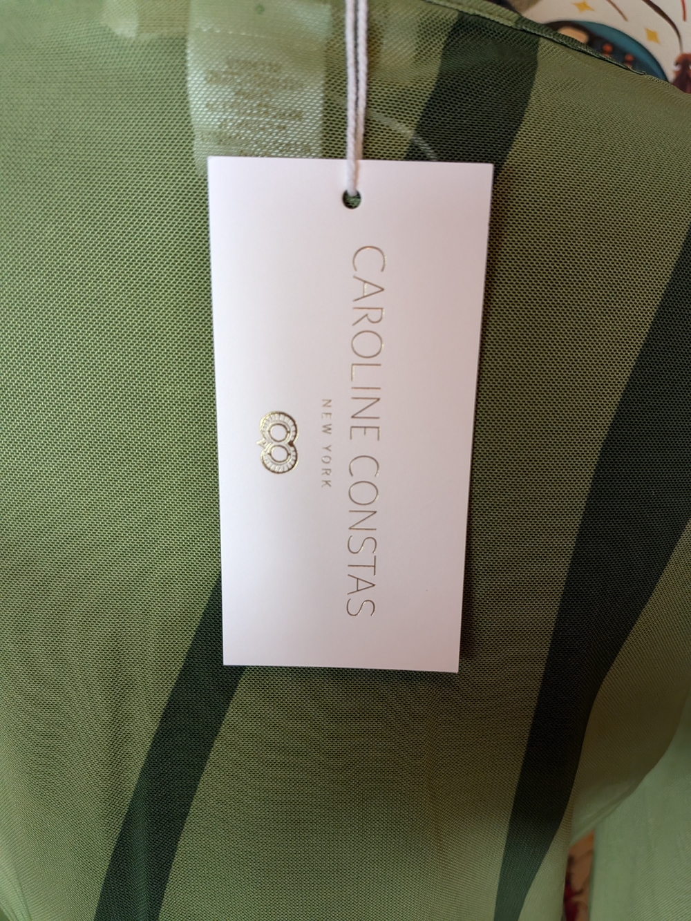Caroline Constas Green Sheer Long-Sleeve Mesh Cover-Up Dress, NWT! Size Medium - Picture 2 of 8